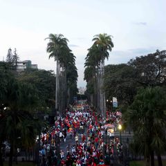 miniatura da galeria