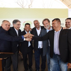miniatura da galeria
