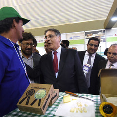 miniatura da galeria