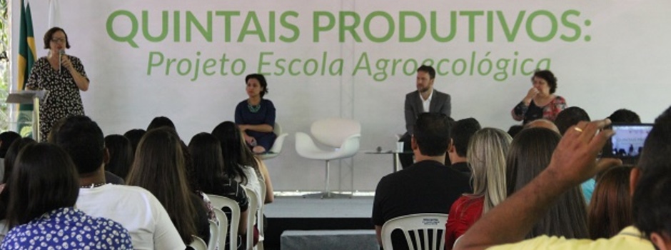 imagem de destaque
