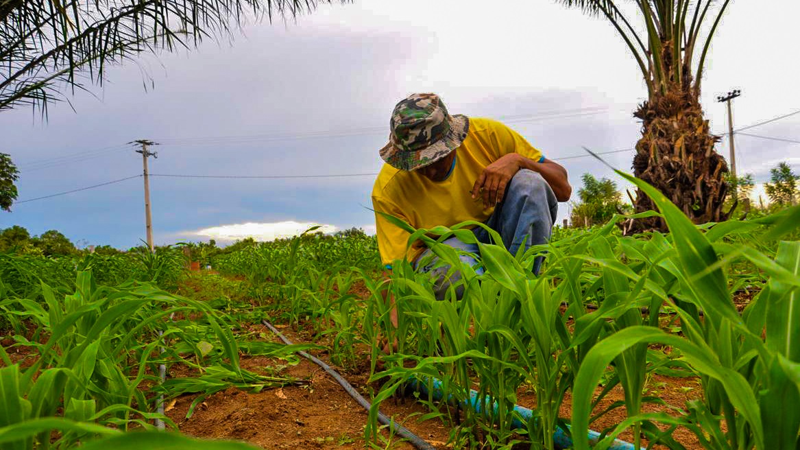 Agência Minas Gerais Minas Gerais é O 2º Estado Brasileiro Com Mais Agricultores Familiares 4287