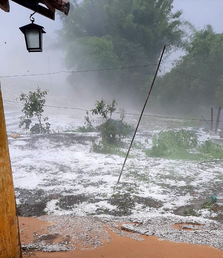 Agência Minas Gerais  Produtores rurais atingidos pela chuva de