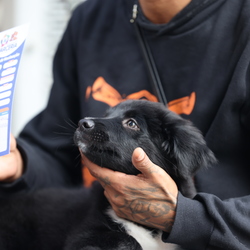 Unveil 8a21a6f614db065bb1ca2c21a5c803aede783f93e5277febbd47f37d9dbae4ca