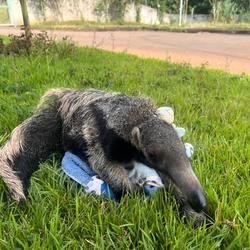 Unveil 8a21a6f614db065bb1ca2c21a5c803aede783f93e5277febbd47f37d9dbae4ca