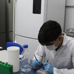 Unveil 8a21a6f614db065bb1ca2c21a5c803aede783f93e5277febbd47f37d9dbae4ca