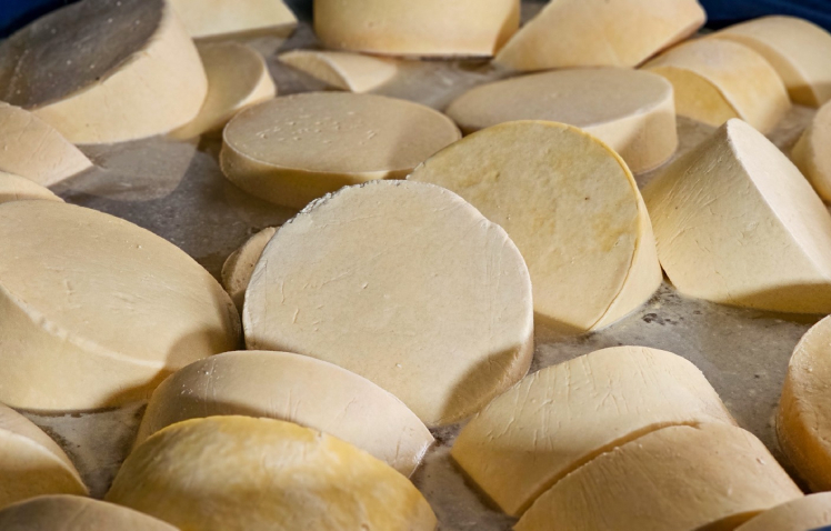 Whatsapp image 2026 03 31 at 11.35.14 %2810%29