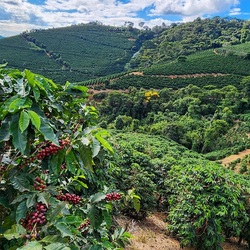 Unveil 8a21a6f614db065bb1ca2c21a5c803aede783f93e5277febbd47f37d9dbae4ca