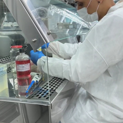 Unveil 8a21a6f614db065bb1ca2c21a5c803aede783f93e5277febbd47f37d9dbae4ca