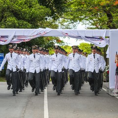 miniatura da galeria