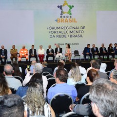 miniatura da galeria