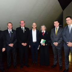 miniatura da galeria