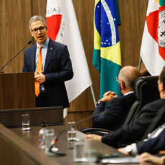 miniatura da galeria