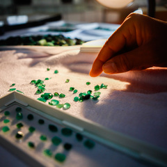 miniatura da galeria