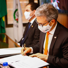 miniatura da galeria