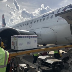 miniatura da galeria