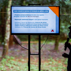 miniatura da galeria