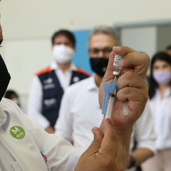 miniatura da galeria