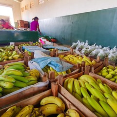 miniatura da galeria