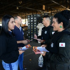 miniatura da galeria