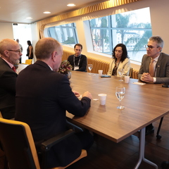 miniatura da galeria