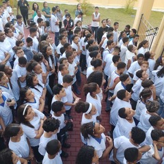 miniatura da galeria