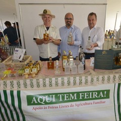 miniatura da galeria