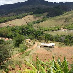 miniatura da galeria