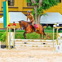 miniatura da galeria