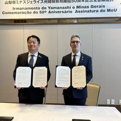 miniatura da galeria