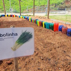 miniatura da galeria