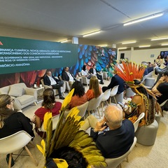 miniatura da galeria