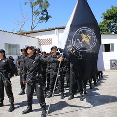 miniatura da galeria