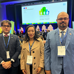 miniatura da galeria