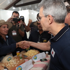 miniatura da galeria