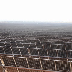 miniatura da galeria