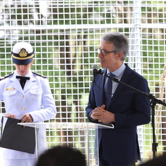 miniatura da galeria