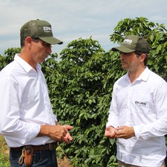 miniatura da galeria