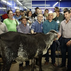 miniatura da galeria