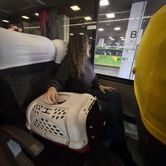 miniatura da galeria
