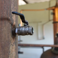 miniatura da galeria