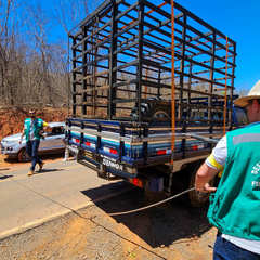 miniatura da galeria