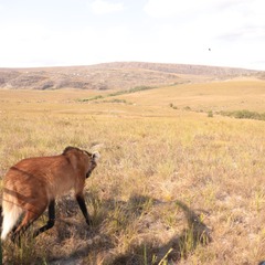 miniatura da galeria