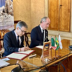 miniatura da galeria