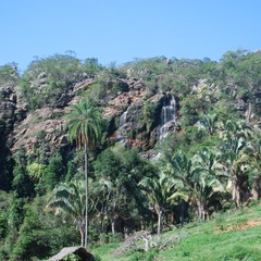 miniatura da galeria