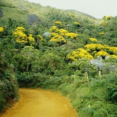 miniatura da galeria