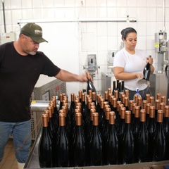 miniatura da galeria