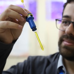 miniatura da galeria