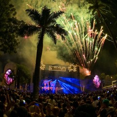 miniatura da galeria