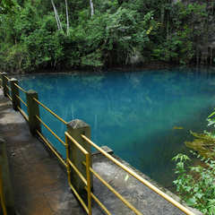 miniatura da galeria