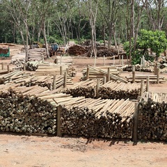 miniatura da galeria